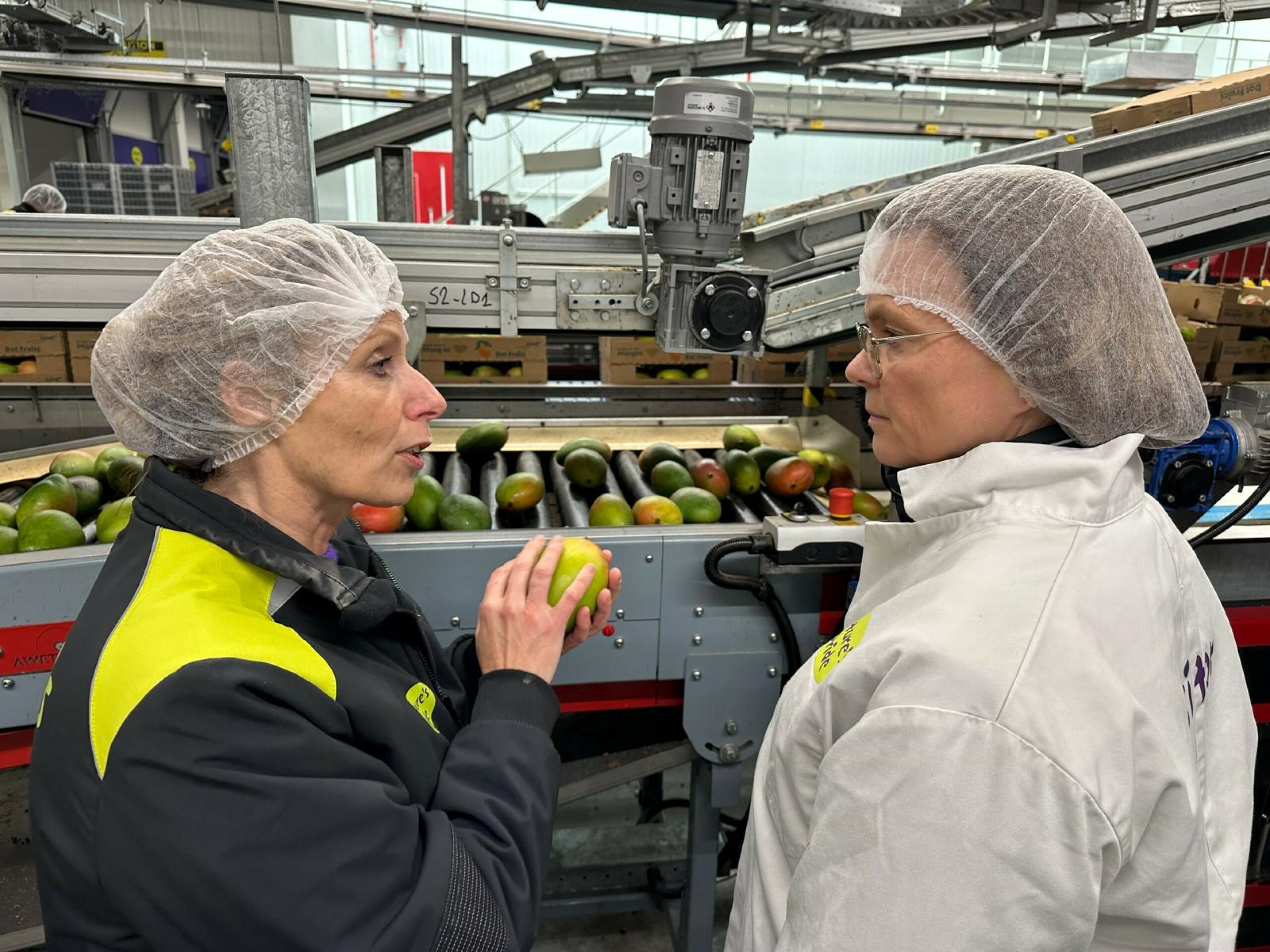 Groenlinks-PvdA delegatie in gesprek over uitdagingen van groente- en fruitsector bij Nature's pride
