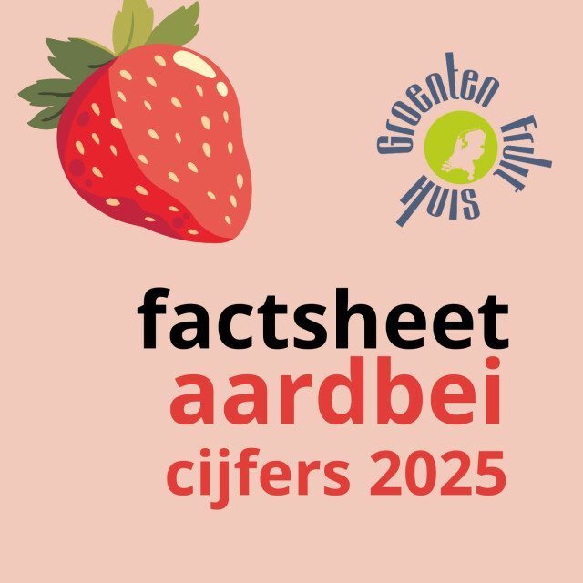 Consumptie aardbeien stijgt in Nederland naar recordhoogte