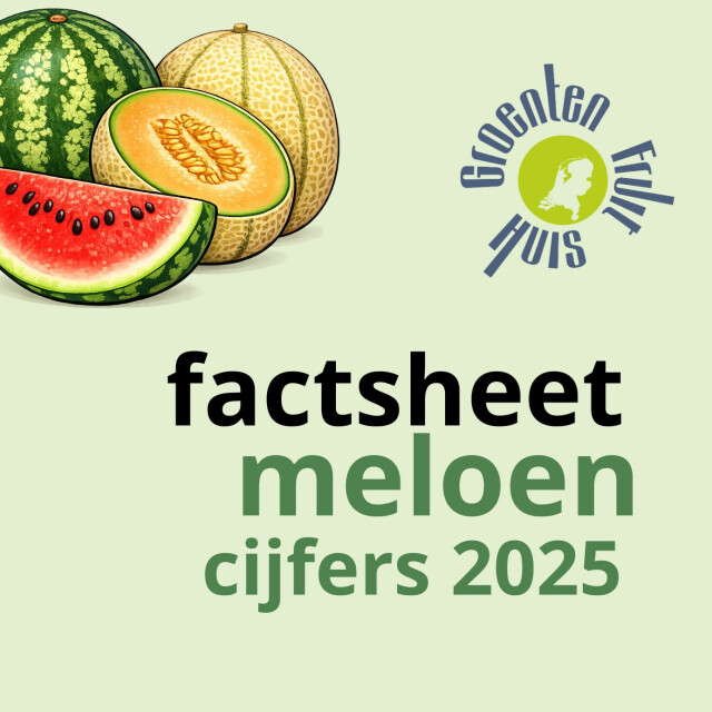 Recordjaar voor meloenen: consumptie en invoer nemen toe
